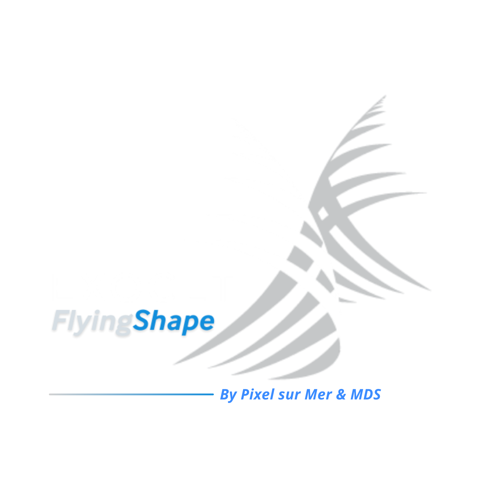 Logo Blanc EFS by PSm  MDDS